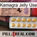 Kamagra Jelly Use 41